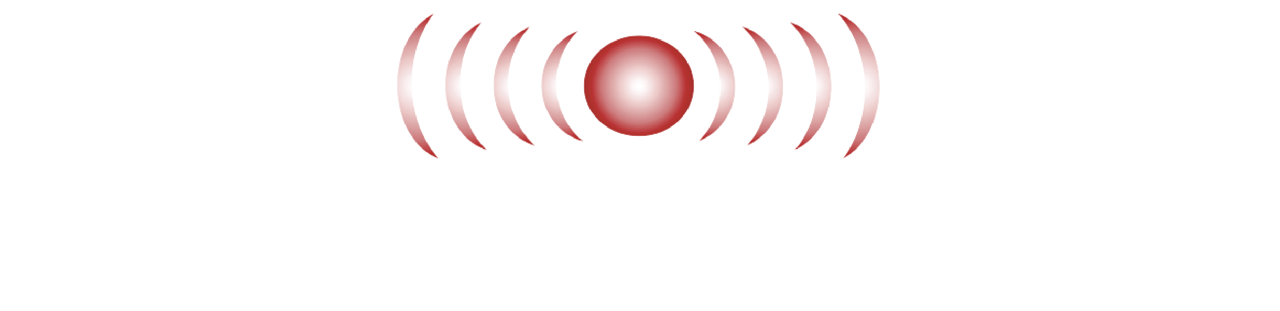 Vipa Elettronica Logo